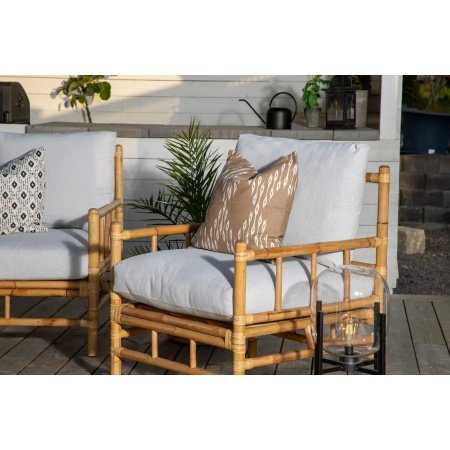 Venture D. havestol Cane