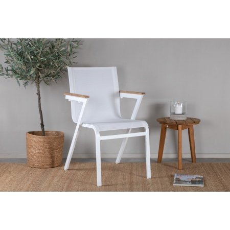 Venture D. havestol Mexico