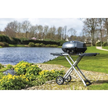 Napoleon gasgrill