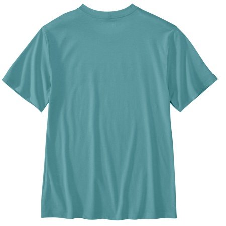 Carhartt Hamilton t-shirt