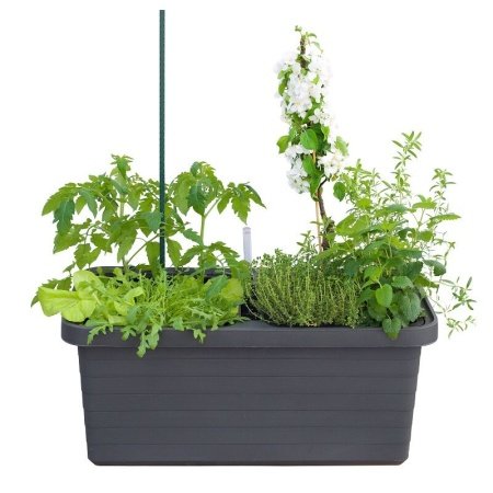 Pindstrup selvvandingskasse