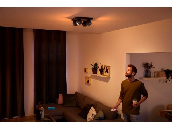 Philips Hue Buckram spot    *U