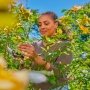 Gardena beskærersaks Supercut Flex. Miljøbilledet viser produktet i brug.