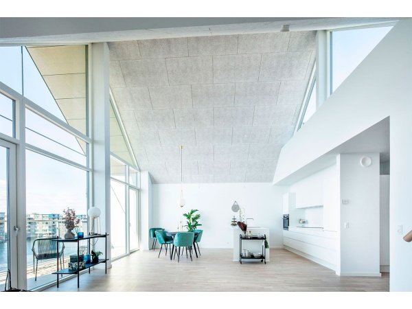 Troldtekt extremfin træbeton