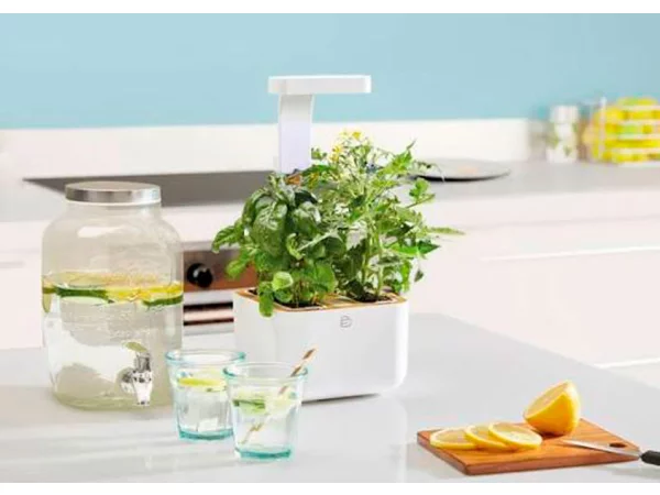 Indoor Garden EYLO