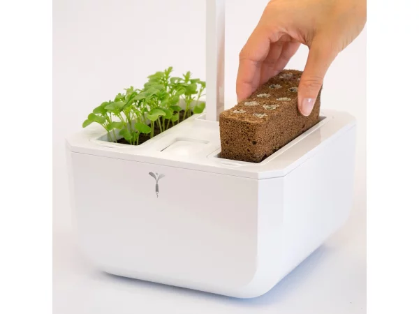 Indoor Garden Classic