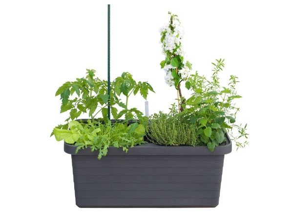 Pindstrup selvvandingskasse