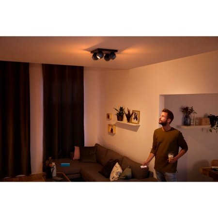Philips Hue Buckram spot    *U