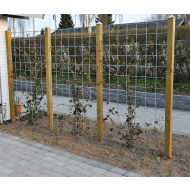 NSH espalier rionet galv. NSH espalier rionet galv.
