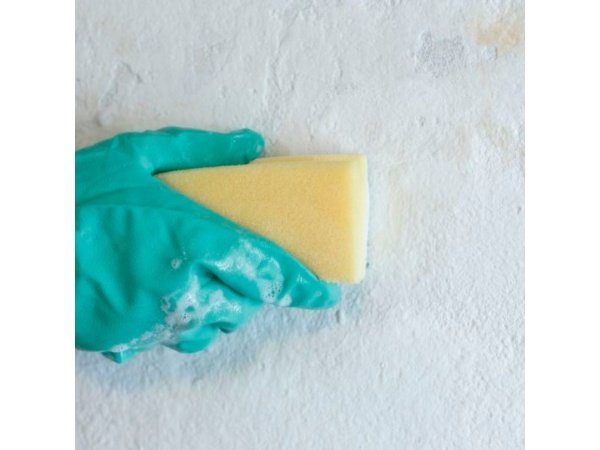 Dyrup tag og murrens