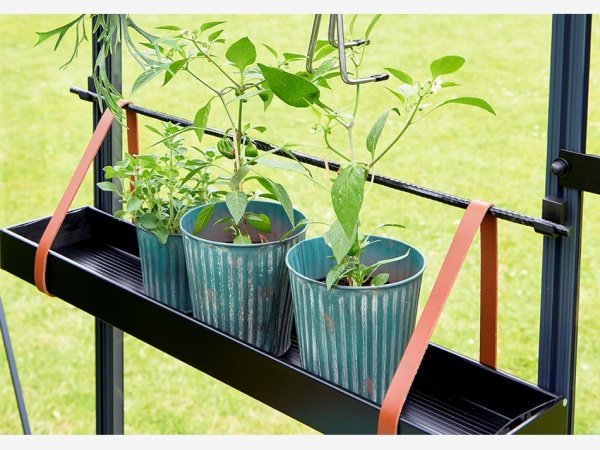 Juliana drivhushylde 760mm