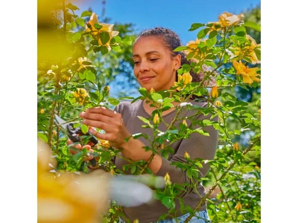 Gardena beskærersaks Supercut Flex Gardena beskærersaks Supercut Flex. Billedet viser produktet lukket.
