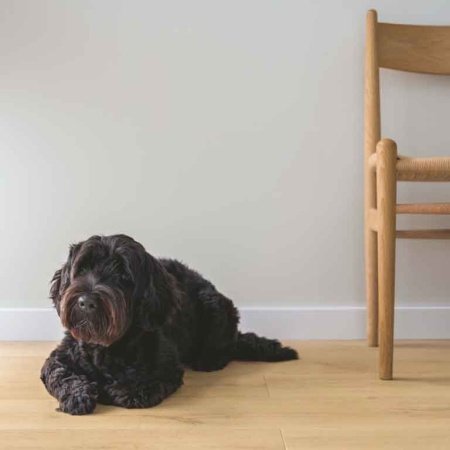 Pergo lillehammer Pure Oak