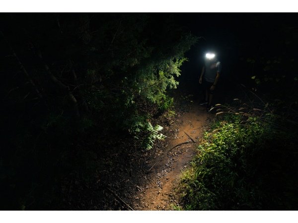 Nebo Curv pandelampe Nebo Curv pandelampe Hybrid 600 lumen. Billedet viser produktet med hvid baggrund.