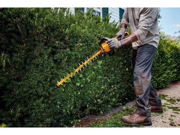 Dewalt hækkeklipper