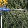 Scheppach C-PHS410-X er en kraftfuld teleskophækkeklipper. Miljøbilledet viser at produktet kan komme i højder
