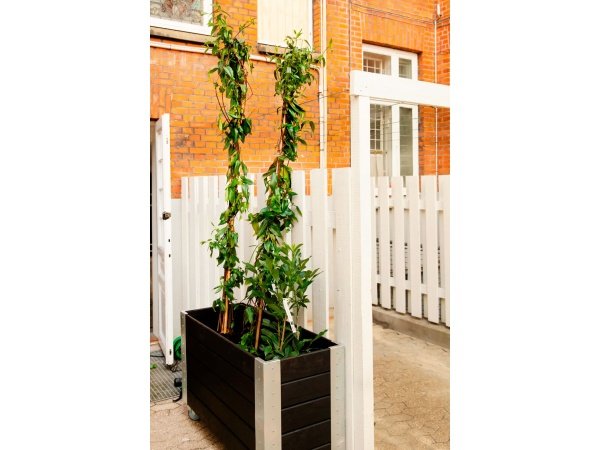 Plus Cubic blomsterkasse