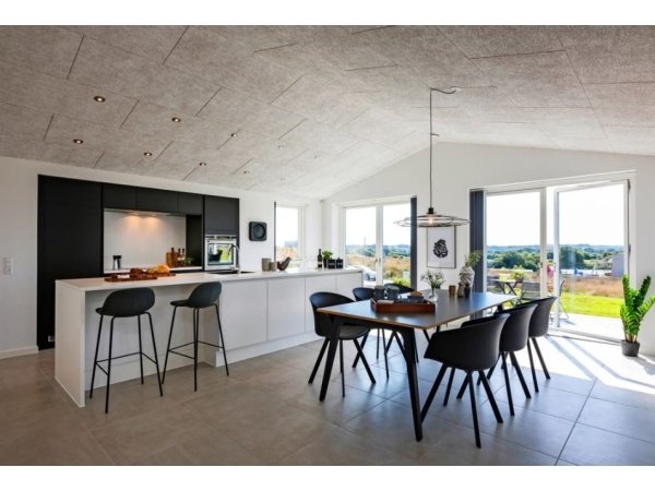 Troldtekt extremfin træbeton