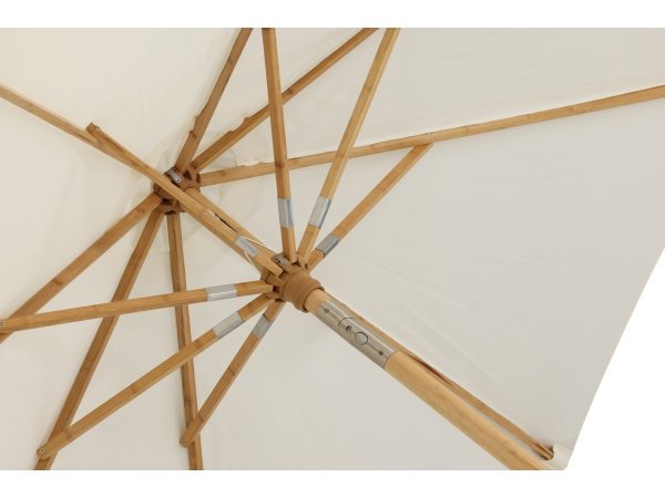 Venture D. parasol Cerox