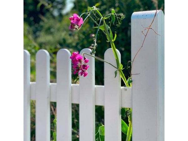 Plus Retro hegn 13740-13