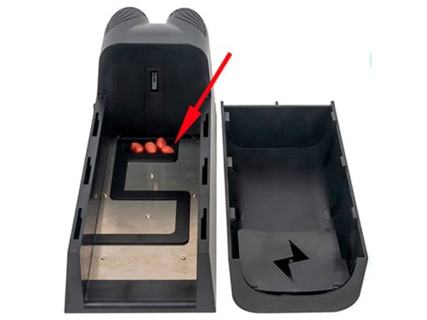 Effektiv, elektrisk aflivning uden brug af kemikalier