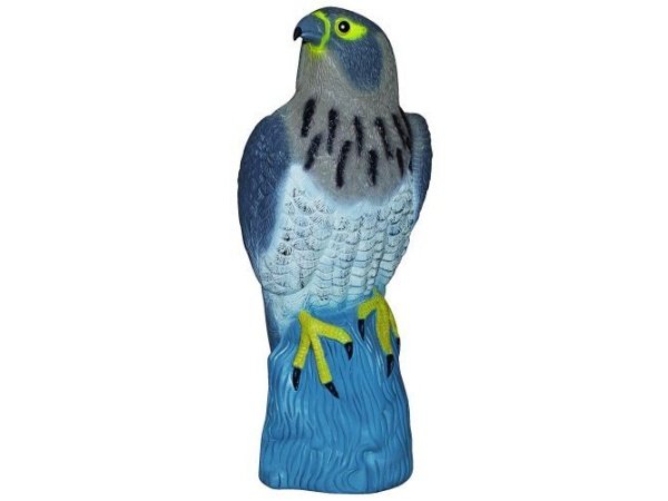 Ryom skræmmer siddende rovfugl