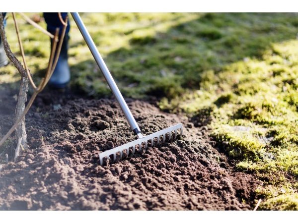 Fiskars Ergonomic haverive Fiskars Ergonomic haverive med lige skaft. Billedet viser produktets fulde størrelse.