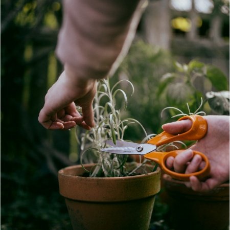 Fiskars have/køkkensaks
