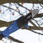 Scheppach multitool m/teleskophækkeklipper/kædesav, C-PHTS41. Miljøbilledet viser produktets effektivitet