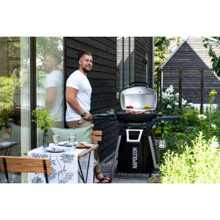 Napoleon gasgrill TravelQ sort
