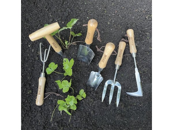 Ryom plantepind Ryom plantepind