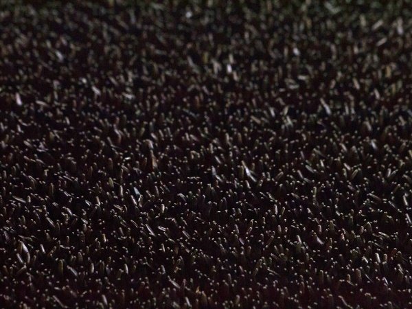 Clean carpet dørmåtte finnturf