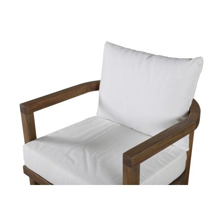 Venture D. havestol Erica