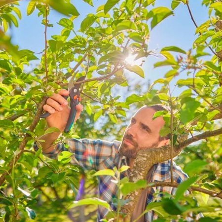 GARDENA PremiumCut Pro Flex beskærersaks. Billedet viser produktet lukket.