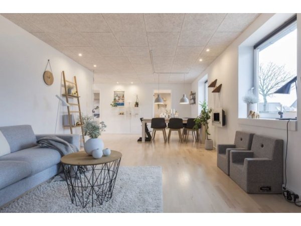 Troldtekt extremfin træbeton