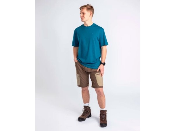 Pinewood Finnveden shorts