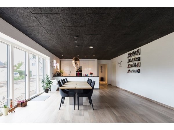 Troldtekt ultrafin træbeton