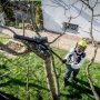 Metabo MS 18 LTX 15, akku-grensav, havearbejde, beskæring, træer, buske, haveværktøj.