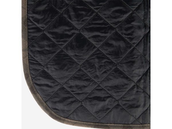 Carhartt hundefrakke