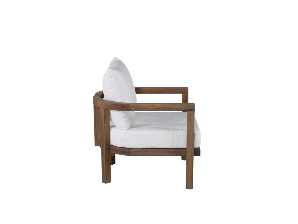 Venture D. havestol Erica