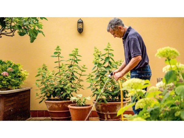 Bosch akku havepumpe