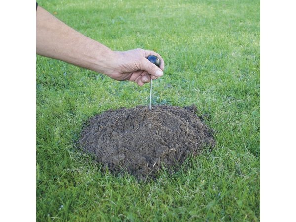 Ryom mosegrisefælde Ryom mosegrisefælde