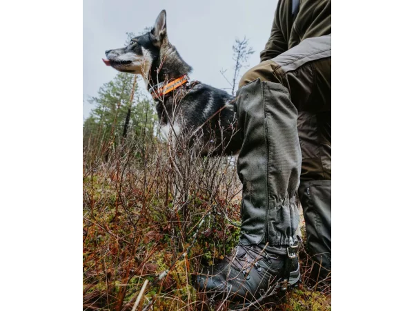 Pinewood Active 2.0 gamacher