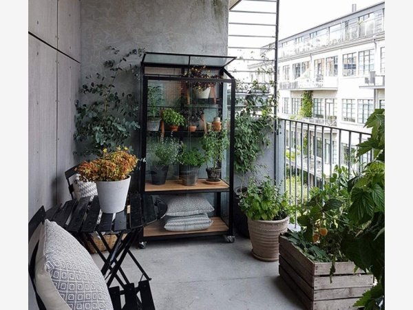 Juliana City Greenhouse 0,32m²