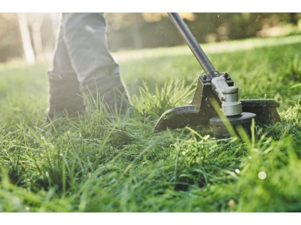 Dewalt buskrydder forsats