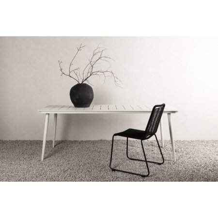 Venture D. bord Lina