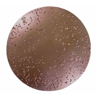 Rokamat pudseskive m/velcro Rokamat pudseskive m/velcro