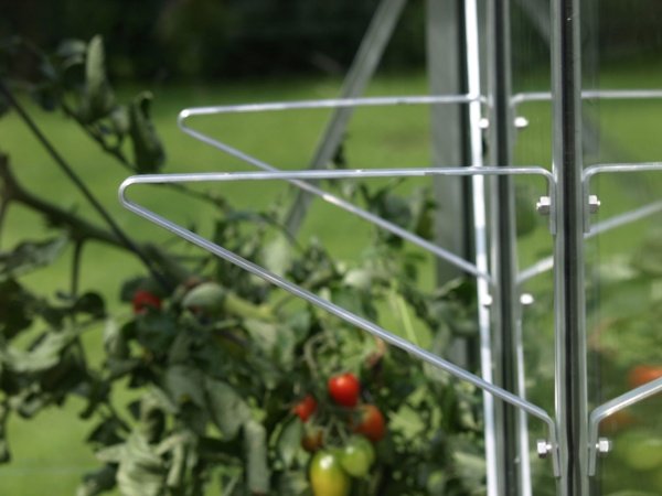 Vitavia Hyldeknægte