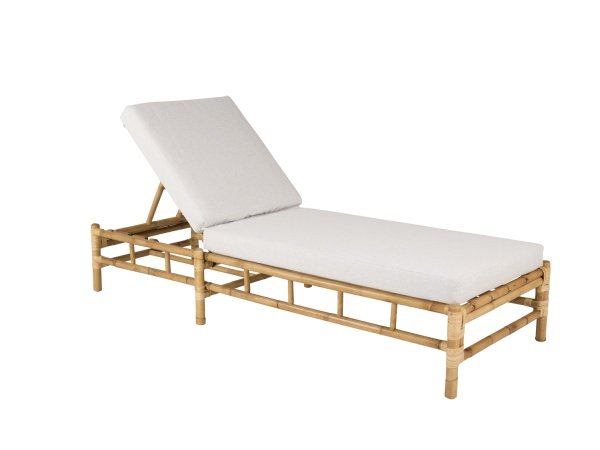 Venture D. solseng Cane