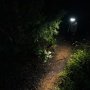 Nebo Curv pandelampe Hybrid 600 lumen. Miljøbilledet viser produktets effektivitet,